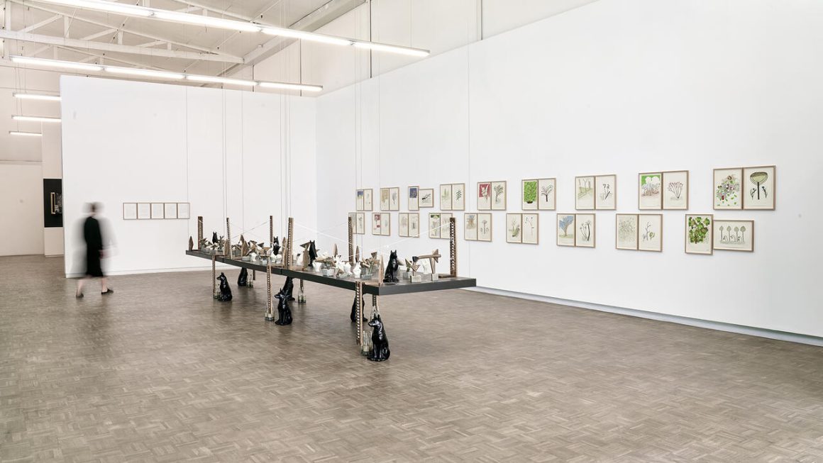 Blank - Art Gallery in Cape Town, South Africa