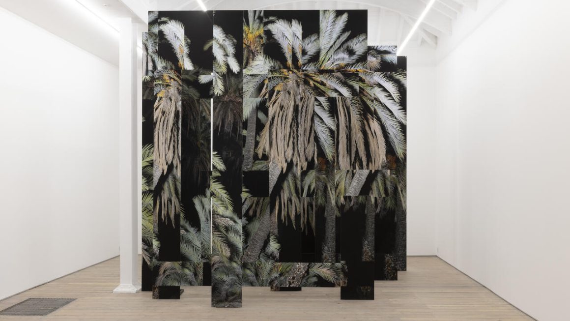 Edel Assanti - Art Gallery in London, United Kingdom